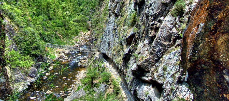 Karangahake Gorge 