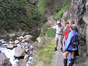 Karangahake Gorge 