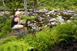 Karangahake Gorge 