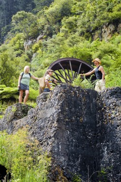 Karangahake Gorge 