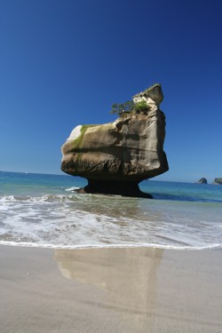 Cathedral Cove