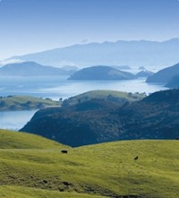 Coromandel Discovery Tours