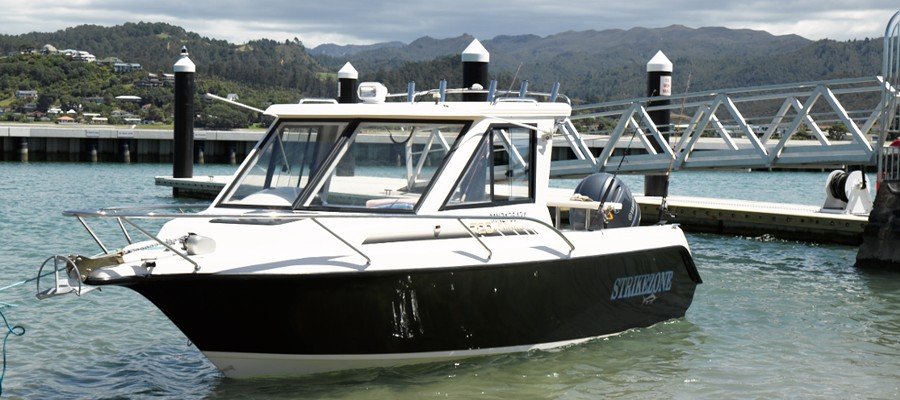 Coromandel Fishing 