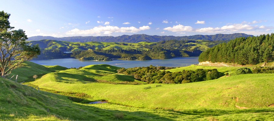 Coromandel Town 